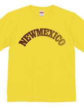 NEW MEXICO -R66-