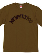 NEW MEXICO -R66-