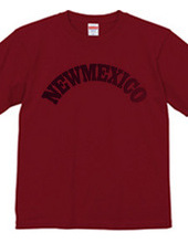 NEW MEXICO -R66-