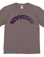 NEW MEXICO -R66-