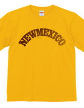 NEW MEXICO -R66-