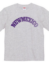 NEW MEXICO -R66-