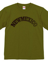 NEW MEXICO -R66-