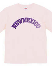 NEW MEXICO -R66-