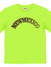 NEW MEXICO -R66-