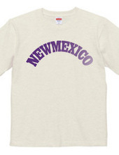 NEW MEXICO -R66-