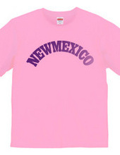 NEW MEXICO -R66-