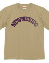 NEW MEXICO -R66-