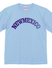 NEW MEXICO -R66-