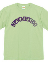 NEW MEXICO -R66-