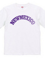 NEW MEXICO -R66-