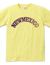 NEW MEXICO -R66-