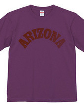 ARIZONA -R66-