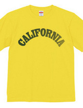 CALIFORNIA -R66-