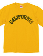 CALIFORNIA -R66-