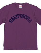 CALIFORNIA -R66-