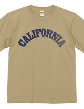 CALIFORNIA -R66-