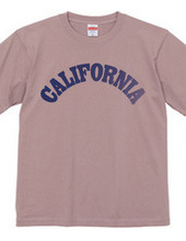 CALIFORNIA -R66-