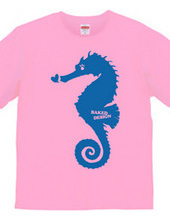 Seahorse 03