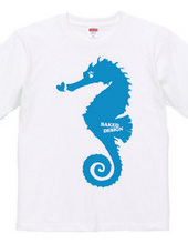 Seahorse 03