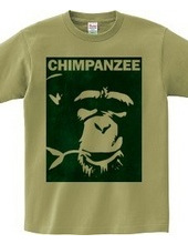 Chimpanzee face 01