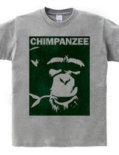 Chimpanzee face 01