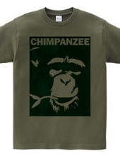 Chimpanzee face 01