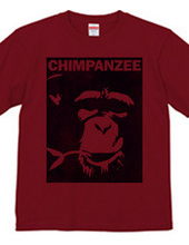 Chimpanzee face 02