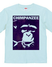 Chimpanzee face 02