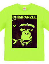 Chimpanzee face 02