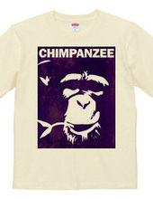 Chimpanzee face 02