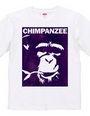 Chimpanzee face 02