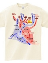 Heart health genealogy