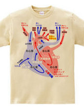 心臓 医療系 図
