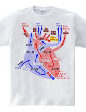 心臓 医療系 図