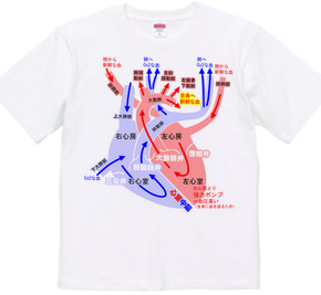 心臓 医療系 図