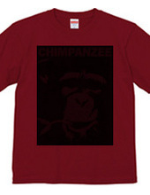 Chimpanzee face 03