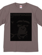 Chimpanzee face 03