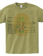 脳神経12対の図