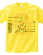 脳神経12対の図