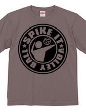 Spike_It_Volleyball