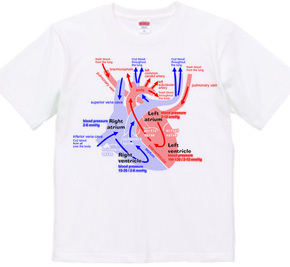 心臓 医療系 図（英語）