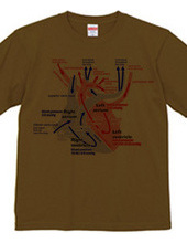 心臓 医療系 図（英語）背面：日本語