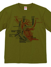 心臓 医療系 図（英語）背面：日本語