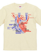 the heart medical genealogy (English) ba