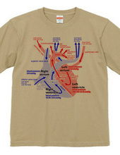 the heart medical genealogy (English) ba