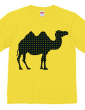 camel