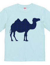 camel