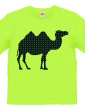 camel