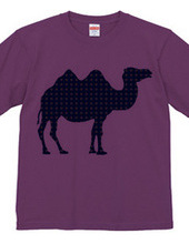 camel